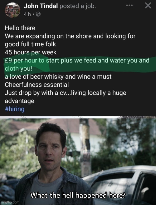 job ad | image tagged in what the hell happened here | made w/ Imgflip meme maker