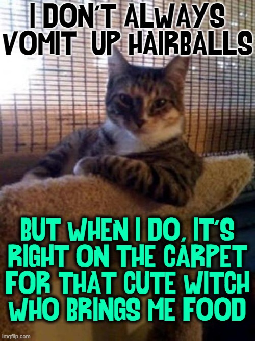 The Most Interesting Cat in the World | I DON'T ALWAYS VOMIT  UP HAIRBALLS; BUT WHEN I DO, IT'S
RIGHT ON THE CARPET
FOR THAT CUTE WITCH
WHO BRINGS ME FOOD | image tagged in vince vance,cats,memes,most interesting cat in the world,hairballs,i don't always | made w/ Imgflip meme maker
