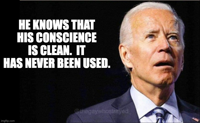 Conscience | HE KNOWS THAT HIS CONSCIENCE IS CLEAN.  IT HAS NEVER BEEN USED. | image tagged in joe biden | made w/ Imgflip meme maker