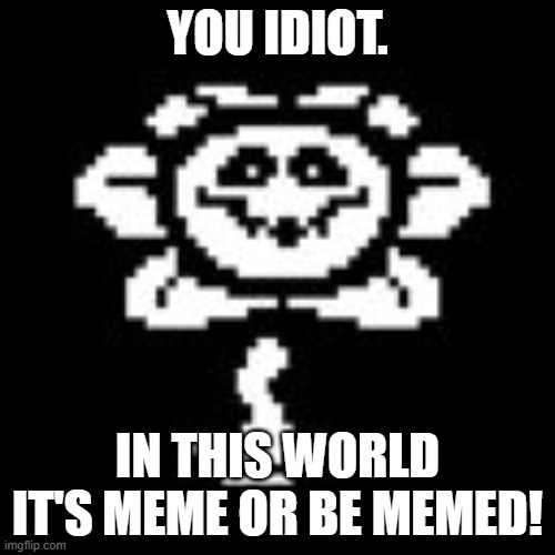 Meme or be memed | YOU IDIOT. IN THIS WORLD IT'S MEME OR BE MEMED! | image tagged in flowey | made w/ Imgflip meme maker