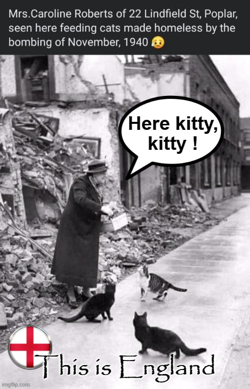 Homeless Cats in the London Blitz | Here kitty,
kitty ! This is England | image tagged in old lady | made w/ Imgflip meme maker