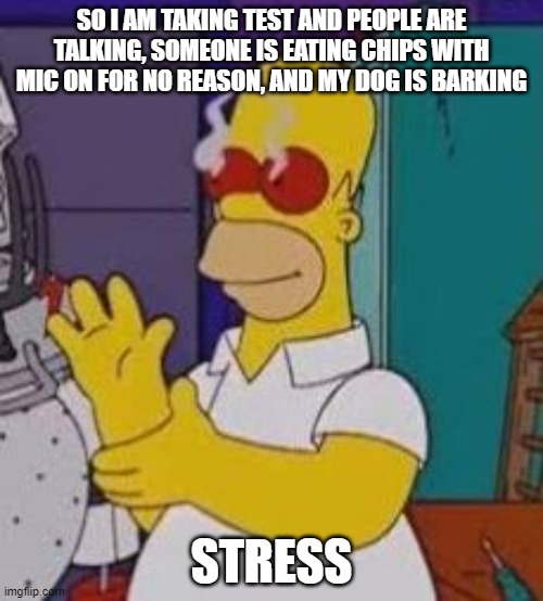 If I fail at least it wasn't in vain | SO I AM TAKING TEST AND PEOPLE ARE TALKING, SOMEONE IS EATING CHIPS WITH MIC ON FOR NO REASON, AND MY DOG IS BARKING; STRESS | image tagged in homer simpson red eyes | made w/ Imgflip meme maker