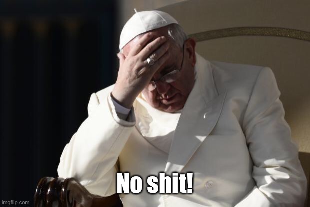 Pope Francis Facepalm | No shit! | image tagged in pope francis facepalm | made w/ Imgflip meme maker