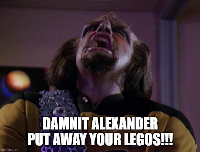 Those Toys | DAMNIT ALEXANDER PUT AWAY YOUR LEGOS!!! | image tagged in worf screams | made w/ Imgflip meme maker