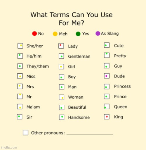 .-. | image tagged in pronouns sheet | made w/ Imgflip meme maker