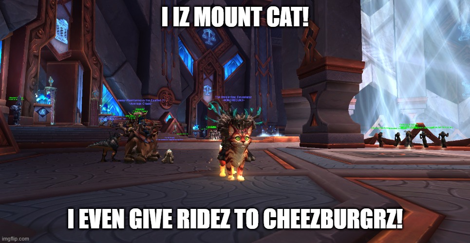 Mount Cat 2 |  I IZ MOUNT CAT! I EVEN GIVE RIDEZ TO CHEEZBURGRZ! | image tagged in world of warcraft,lolcats | made w/ Imgflip meme maker