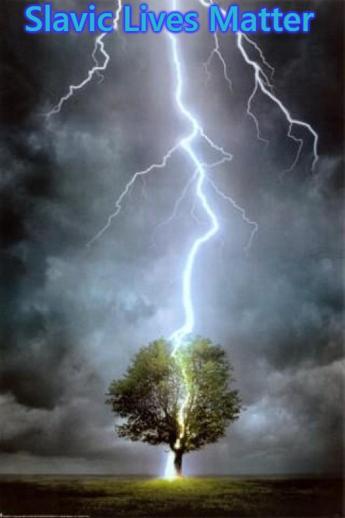 lightning-tree-strike | Slavic Lives Matter | image tagged in lightning-tree-strike,polish lives matter,slavic lives matter | made w/ Imgflip meme maker