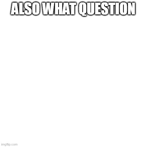 ALSO WHAT QUESTION | image tagged in memes,blank transparent square | made w/ Imgflip meme maker