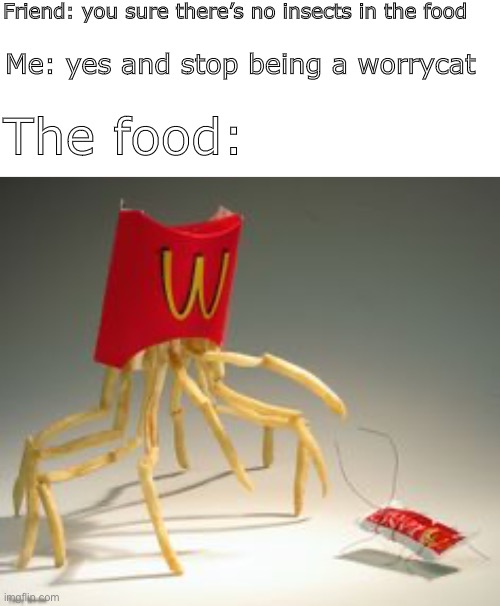 Friend: you sure there’s no insects in the food; Me: yes and stop being a worrycat; The food: | image tagged in funny,weird,cursed | made w/ Imgflip meme maker