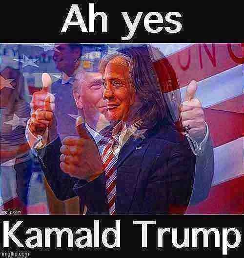 • ah yes, k a m a l d t r u m p • | image tagged in ah yes kamald trump,ah,yes,kamald,trump,kamald trump | made w/ Imgflip meme maker