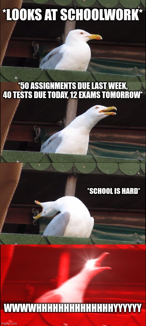 Inhaling Seagull | *LOOKS AT SCHOOLWORK*; *50 ASSIGNMENTS DUE LAST WEEK, 40 TESTS DUE TODAY, 12 EXAMS TOMORROW*; *SCHOOL IS HARD*; WWWWHHHHHHHHHHHHHHYYYYYY | image tagged in memes,inhaling seagull | made w/ Imgflip meme maker