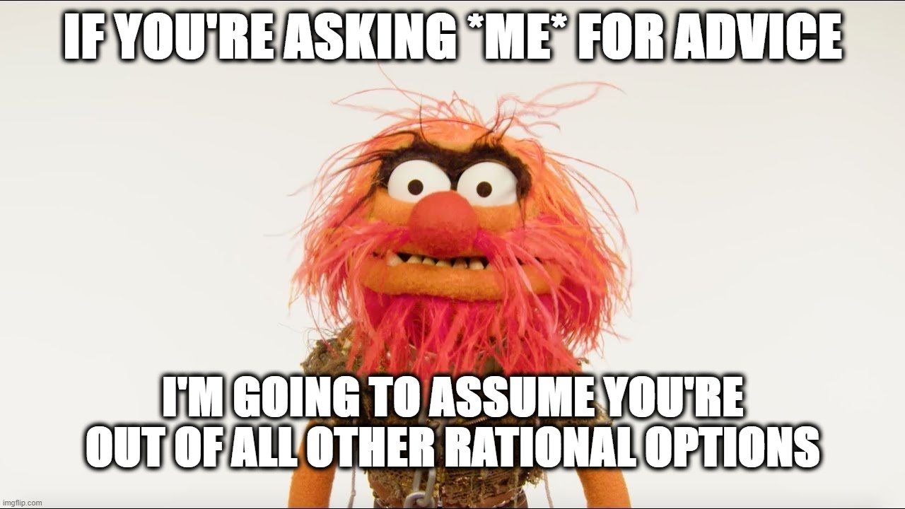 Animal Advice | IF YOU'RE ASKING *ME* FOR ADVICE; I'M GOING TO ASSUME YOU'RE OUT OF ALL OTHER RATIONAL OPTIONS | image tagged in muppet animal,advice | made w/ Imgflip meme maker