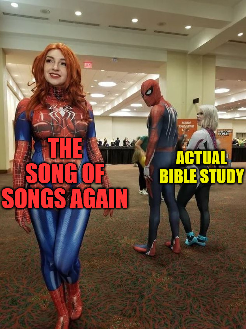 Task Failed successfully | THE SONG OF SONGS AGAIN; ACTUAL BIBLE STUDY | image tagged in bible | made w/ Imgflip meme maker