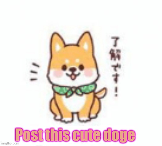 Post this doge | Post this cute doge | image tagged in anime,doggo,post this dog,cute puppies | made w/ Imgflip meme maker