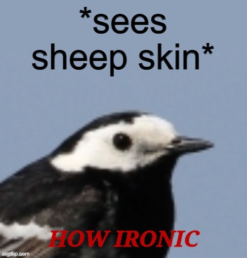 How ironic | *sees sheep skin* | image tagged in how ironic | made w/ Imgflip meme maker