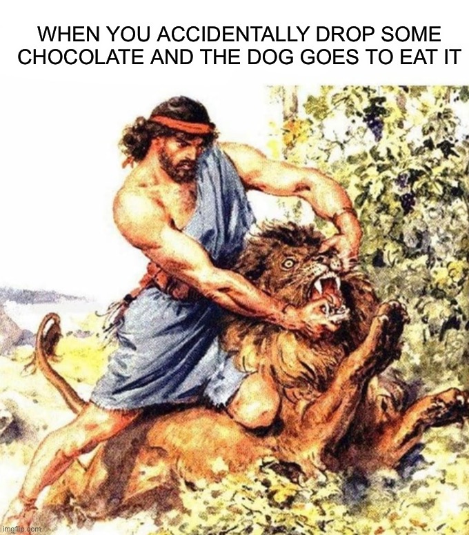 Has this happened to you? :D | WHEN YOU ACCIDENTALLY DROP SOME CHOCOLATE AND THE DOG GOES TO EAT IT | image tagged in memes,funny,relatable memes,relatable,chocolate,dogs | made w/ Imgflip meme maker