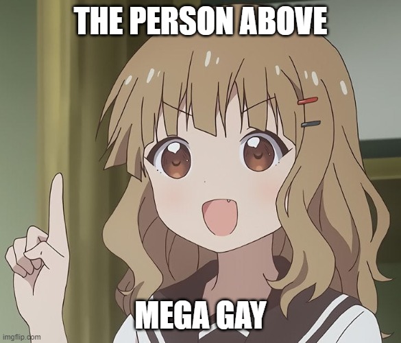 The person above me | THE PERSON ABOVE; MEGA GAY | image tagged in the person above me | made w/ Imgflip meme maker