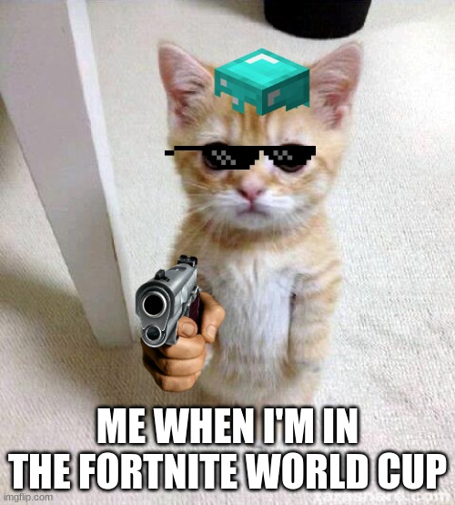 Cute Cat Meme | ME WHEN I'M IN THE FORTNITE WORLD CUP | image tagged in memes,cute cat | made w/ Imgflip meme maker