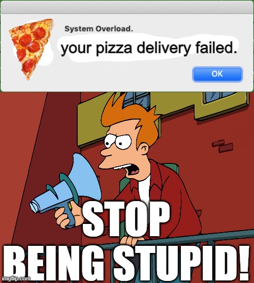 your pizza delivery failed. STOP BEING STUPID! | image tagged in system overload,futurama fry megaphone | made w/ Imgflip meme maker