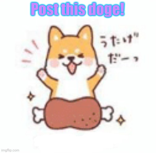 Post this doggo | Post this doge! | image tagged in doggo week,post this dog,cute puppies | made w/ Imgflip meme maker