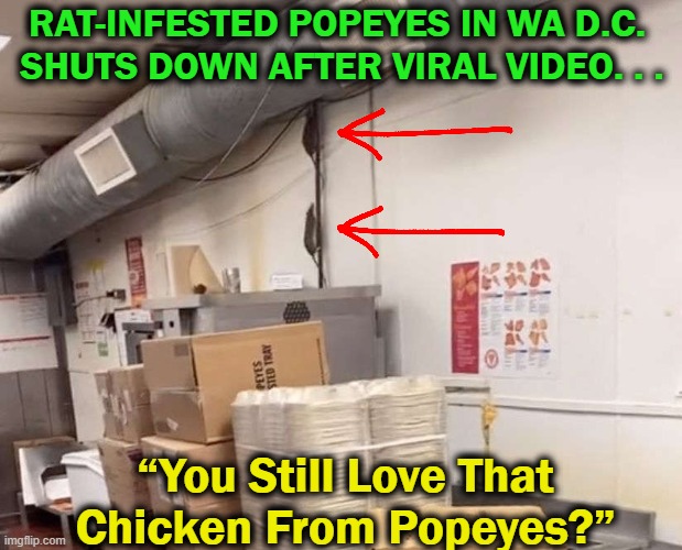 Hmmm | RAT-INFESTED POPEYES IN WA D.C. 
SHUTS DOWN AFTER VIRAL VIDEO. . . “You Still Love That Chicken From Popeyes?” | image tagged in funny,lol,wow,fun times,smile | made w/ Imgflip meme maker