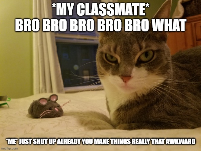 This is how my classmate acts which he is annoying and awkward about everything | *MY CLASSMATE* BRO BRO BRO BRO BRO WHAT; *ME* JUST SHUT UP ALREADY YOU MAKE THINGS REALLY THAT AWKWARD | image tagged in you have got to be kidding me | made w/ Imgflip meme maker