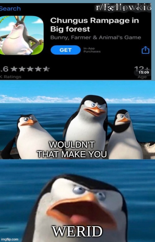 WHAT | WERID | image tagged in wouldn't that make you blank | made w/ Imgflip meme maker