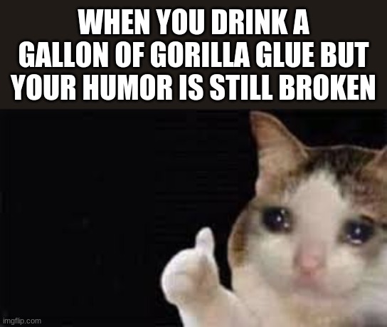 :') | WHEN YOU DRINK A GALLON OF GORILLA GLUE BUT YOUR HUMOR IS STILL BROKEN | image tagged in crying cat | made w/ Imgflip meme maker