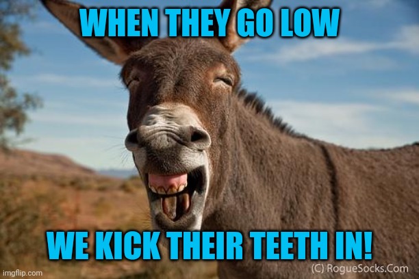 Donkey Jackass Braying | WHEN THEY GO LOW WE KICK THEIR TEETH IN! | image tagged in donkey jackass braying | made w/ Imgflip meme maker