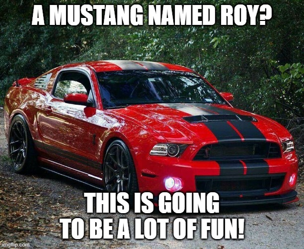 Mustang 1 | A MUSTANG NAMED ROY? THIS IS GOING TO BE A LOT OF FUN! | image tagged in mustang 1 | made w/ Imgflip meme maker