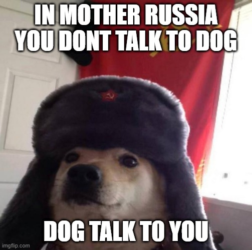 Russian Doge | IN MOTHER RUSSIA YOU DONT TALK TO DOG; DOG TALK T0 YOU | image tagged in russian doge | made w/ Imgflip meme maker