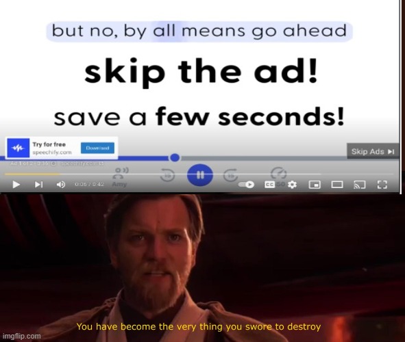 i skipped the ad | image tagged in you have become the very thing you swore to destroy | made w/ Imgflip meme maker