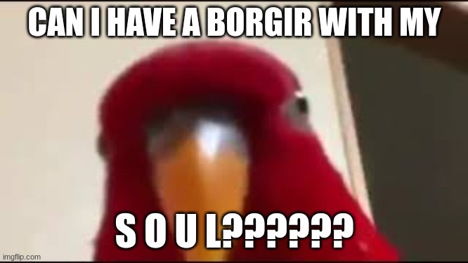 R E D  B I R B | CAN I HAVE A BORGIR WITH MY; S O U L?????? | image tagged in red birb gumi staring,funny | made w/ Imgflip meme maker