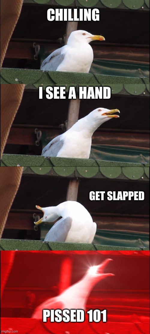 Inhaling Seagull | CHILLING; I SEE A HAND; GET SLAPPED; PISSED 101 | image tagged in memes,inhaling seagull | made w/ Imgflip meme maker