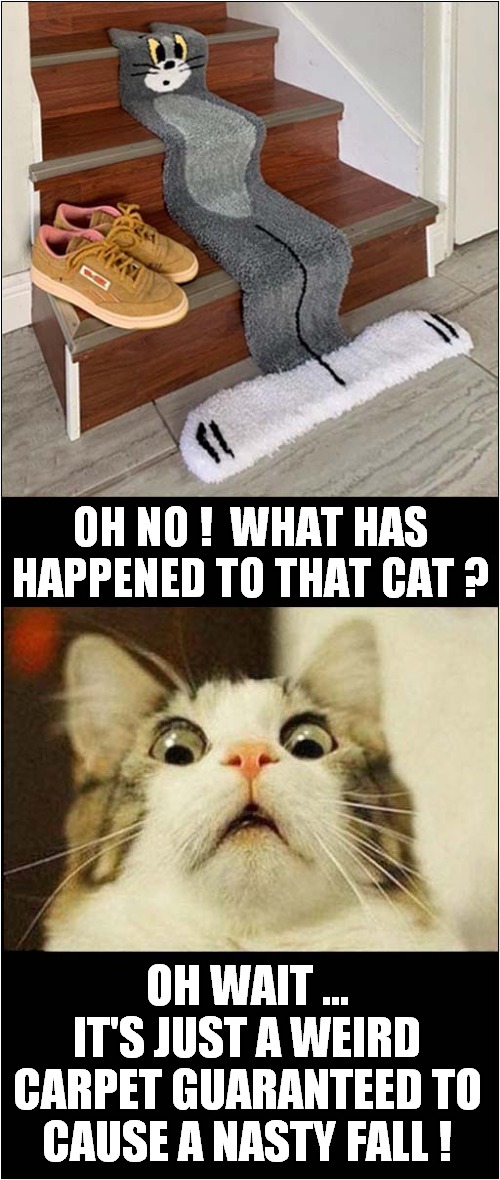 That's Going To Hurt ! | OH NO !  WHAT HAS HAPPENED TO THAT CAT ? OH WAIT ... IT'S JUST A WEIRD CARPET GUARANTEED TO CAUSE A NASTY FALL ! | image tagged in cats,illusion,pain | made w/ Imgflip meme maker