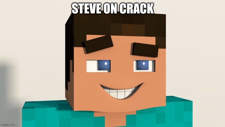 Steve (Minecraft) | STEVE ON CRACK | image tagged in steve minecraft | made w/ Imgflip meme maker