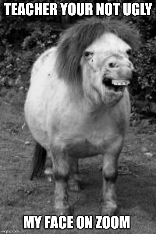 ugly horse | TEACHER YOUR NOT UGLY; MY FACE ON ZOOM | image tagged in ugly horse,memes | made w/ Imgflip meme maker