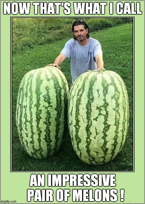 Say What You See ! | NOW THAT'S WHAT I CALL; AN IMPRESSIVE   PAIR OF MELONS ! | image tagged in melon,double entendres | made w/ Imgflip meme maker