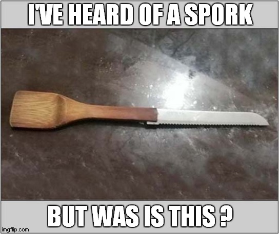 There Will Be Blood ! | I'VE HEARD OF A SPORK; BUT WAS IS THIS ? | image tagged in mystery object,bloody | made w/ Imgflip meme maker