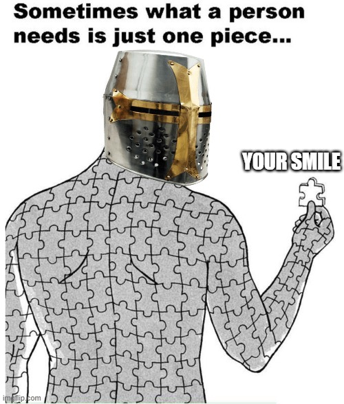 one piece is all i need | YOUR SMILE | image tagged in sometimes what a person needs is just one piece | made w/ Imgflip meme maker