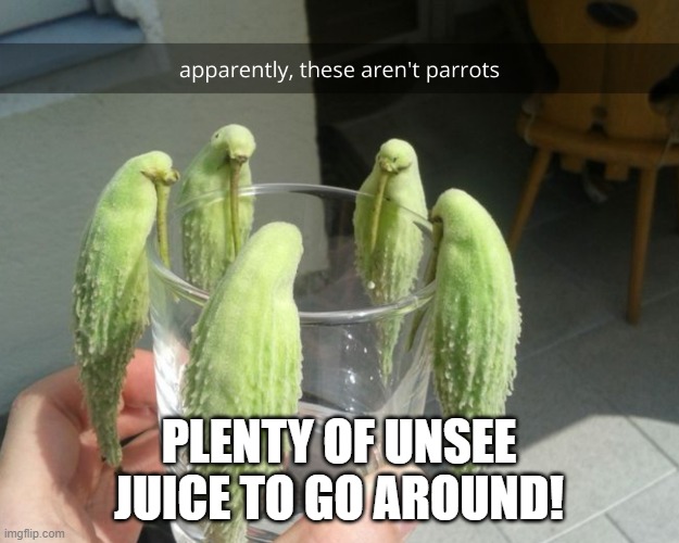 Plenty of unsee juice! | PLENTY OF UNSEE JUICE TO GO AROUND! | image tagged in unsee juice,plenty,would you pass the unsee juice,polly wants unsee juice | made w/ Imgflip meme maker