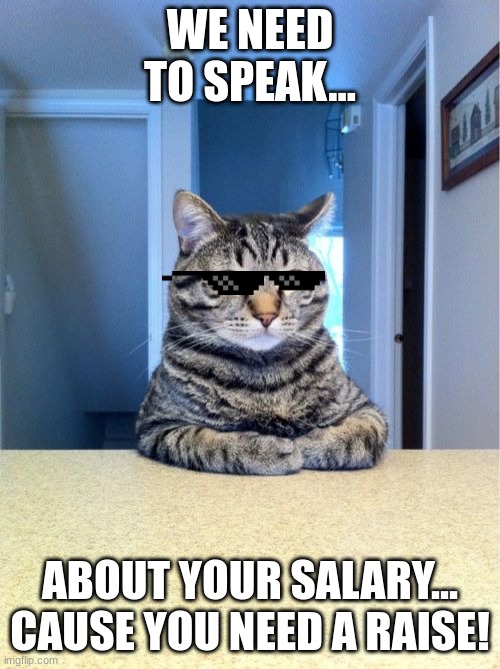 Take A Seat Cat |  WE NEED TO SPEAK... ABOUT YOUR SALARY... CAUSE YOU NEED A RAISE! | image tagged in memes,take a seat cat | made w/ Imgflip meme maker