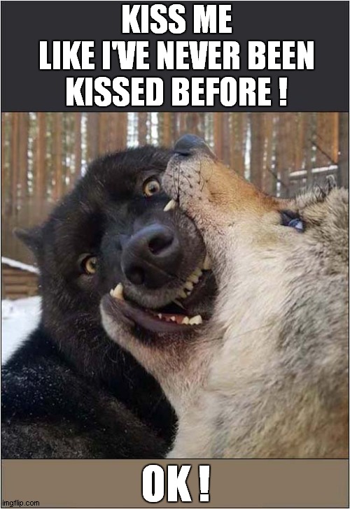 Doggy Romance ! | KISS ME
LIKE I'VE NEVER BEEN KISSED BEFORE ! OK ! | image tagged in dogs,kissing,unusual | made w/ Imgflip meme maker