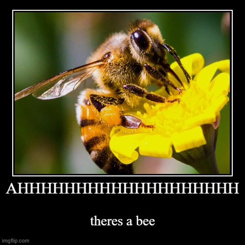 AHHHHHHHHHHHHHHHHHHHHHHHHHHHHHHHHHHHHHHHHHHHHHHHHHH | image tagged in funny,demotivationals | made w/ Imgflip demotivational maker