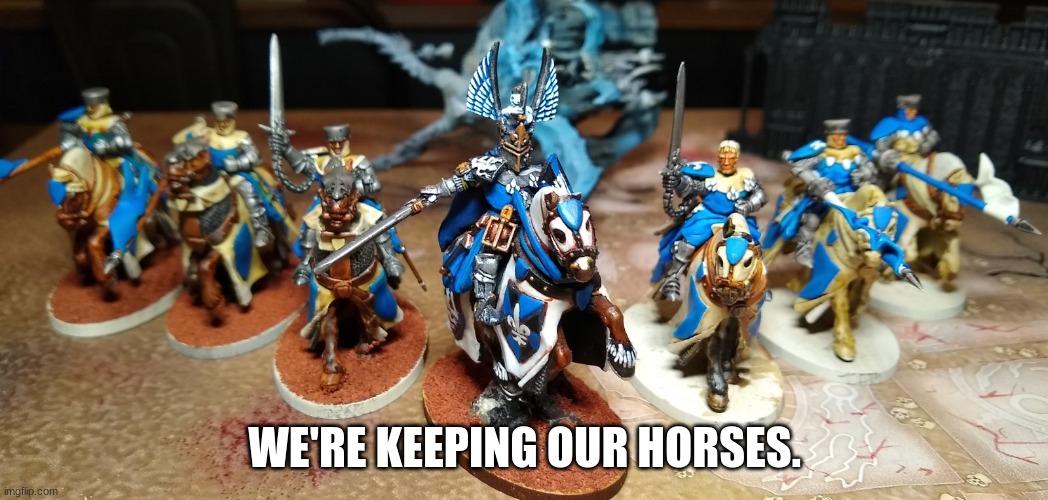 WE'RE KEEPING OUR HORSES. | image tagged in knight | made w/ Imgflip meme maker