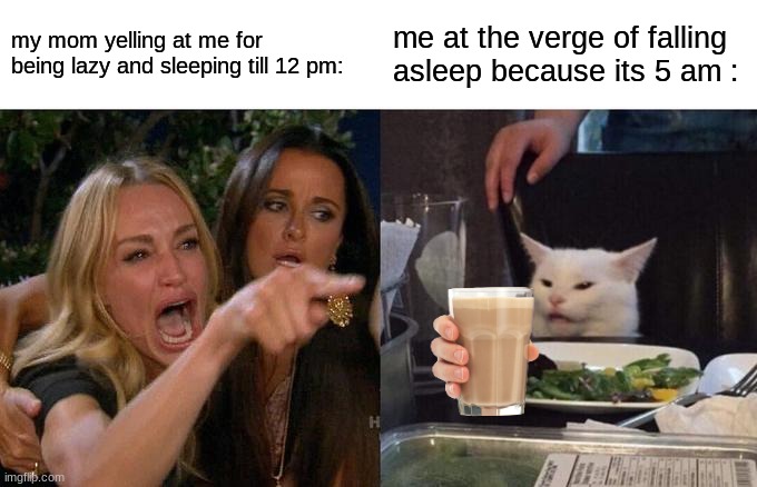 haha | my mom yelling at me for being lazy and sleeping till 12 pm:; me at the verge of falling asleep because its 5 am : | image tagged in memes,woman yelling at cat | made w/ Imgflip meme maker