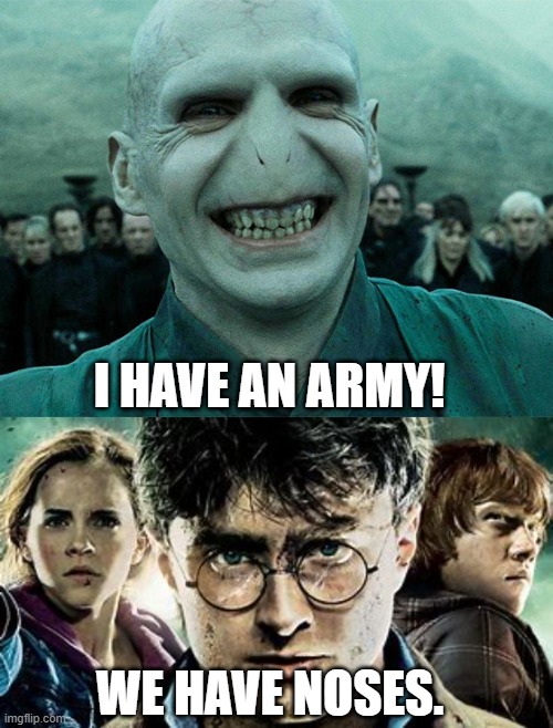 lord voldemort smiling