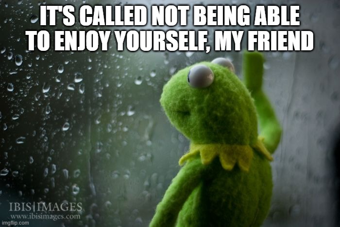 kermit window | IT'S CALLED NOT BEING ABLE TO ENJOY YOURSELF, MY FRIEND | image tagged in kermit window | made w/ Imgflip meme maker