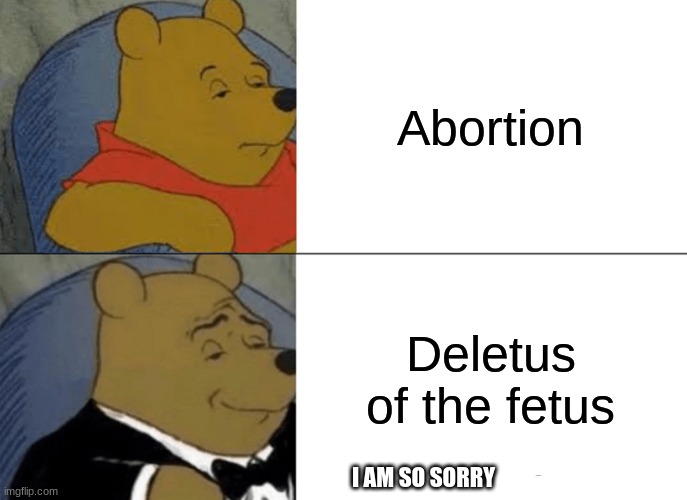 Tuxedo Winnie The Pooh | Abortion; Deletus of the fetus; I AM SO SORRY | image tagged in memes,tuxedo winnie the pooh | made w/ Imgflip meme maker