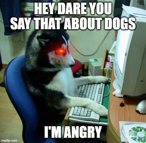 i'm on the computer getin angry and i want to nani the computer | HEY DARE YOU SAY THAT ABOUT DOGS; I'M ANGRY | image tagged in memes,i have no idea what i am doing | made w/ Imgflip meme maker